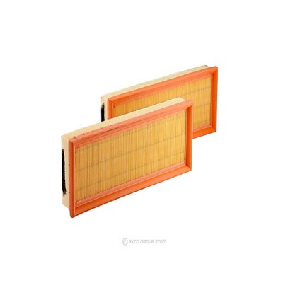 Air Filter (RY-A1900)