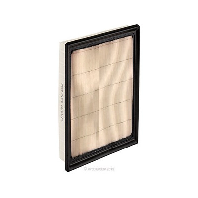 Air Filter (RY-A1975)