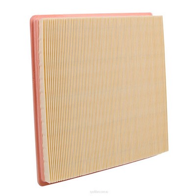 Air Filter (RY-A1789)