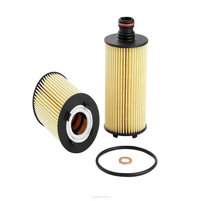 Oil Filter (RY-R2751P)