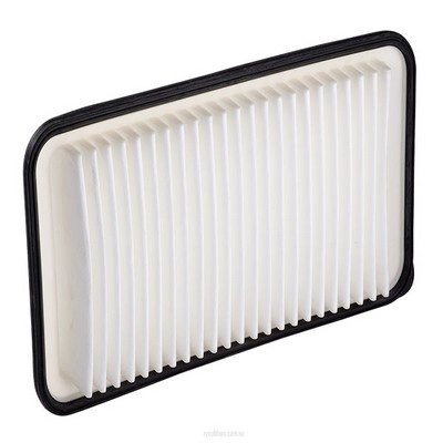 Air Filter (RY-A1703)