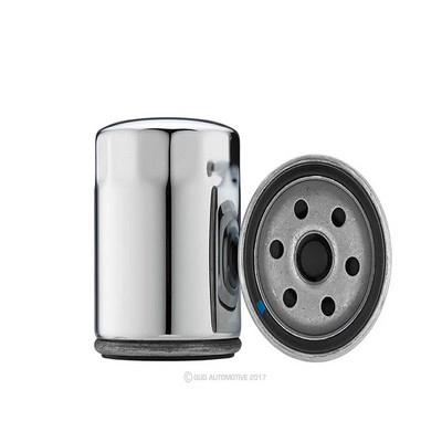 Oil Filter (RY-RMZ110C)