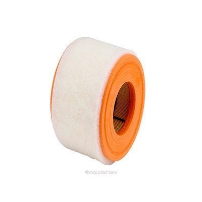 Air Filter (RY-A1921)