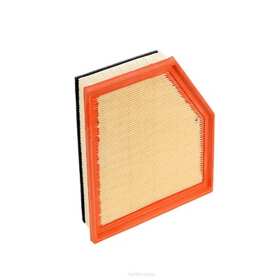 Air Filter (RY-A1813)