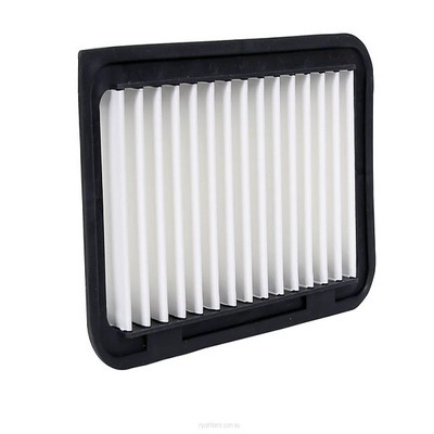 Air Filter (RY-A1806)
