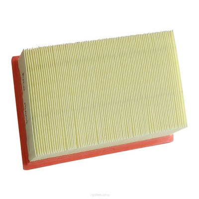 Air Filter (RY-A1864)