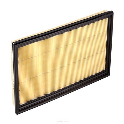 Air Filter (RY-A1431)