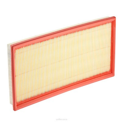 Air Filter (RY-A1662)