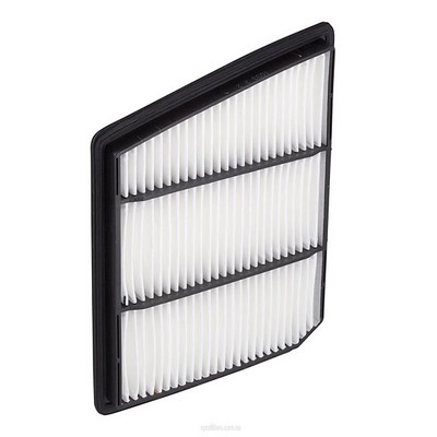 Air Filter (RY-A1399)