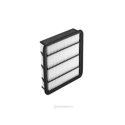 Air Filter (RY-A1915)