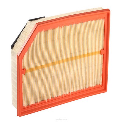 Air Filter (RY-A1615)