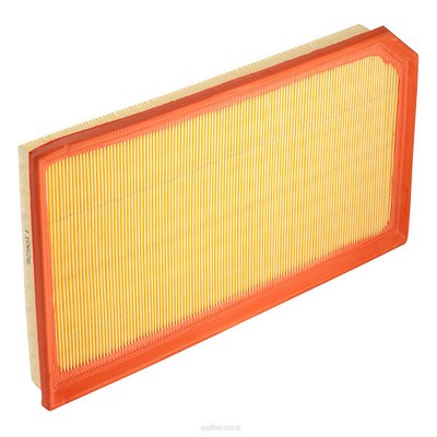 Air Filter (RY-A1640)