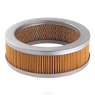 Air Filter (RY-A242X)