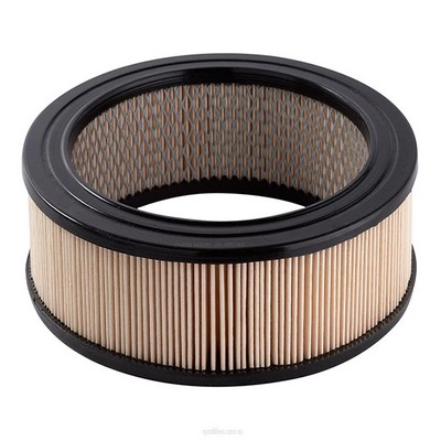 Air Filter (RY-A320)