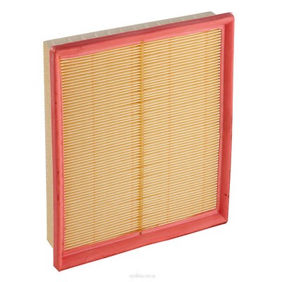 Air Filter (RY-A1609)