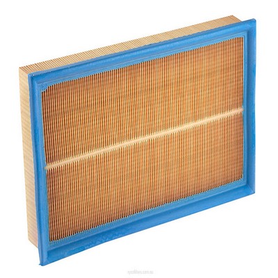 Air Filter (RY-A1486)