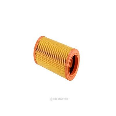 Air Filter (RY-A1920)