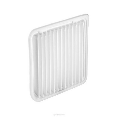Air Filter (RY-A1839)