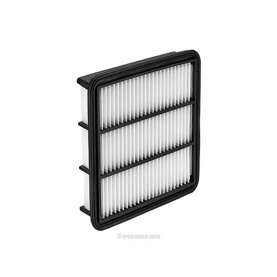 Air Filter (RY-A1934)