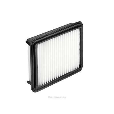 Air Filter (RY-A1949)