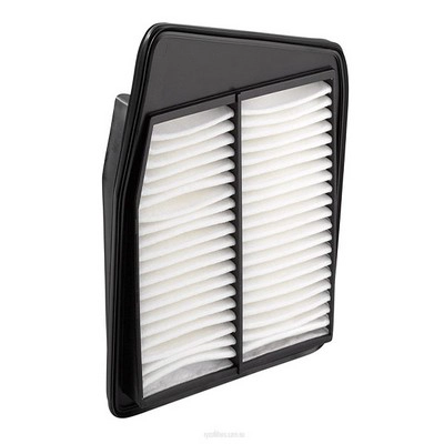 Air Filter (RY-A1641)