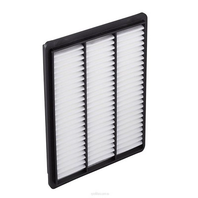 Air Filter (RY-A489)
