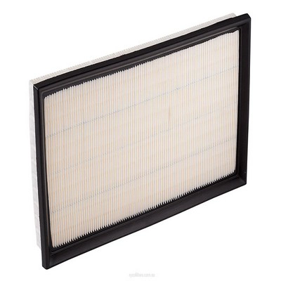 Air Filter (RY-A1440)