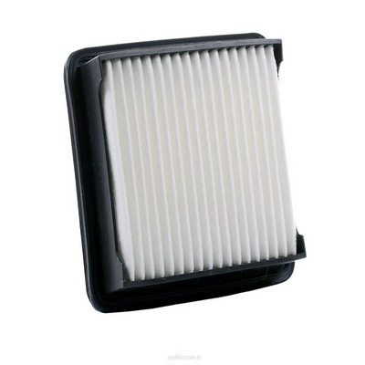 Air Filter (RY-A1420)