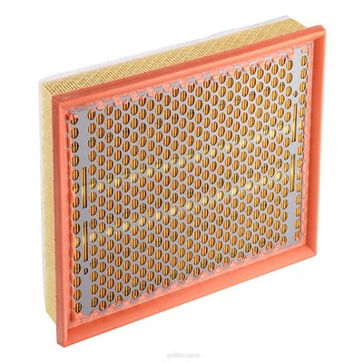 Air Filter (RY-A1741)