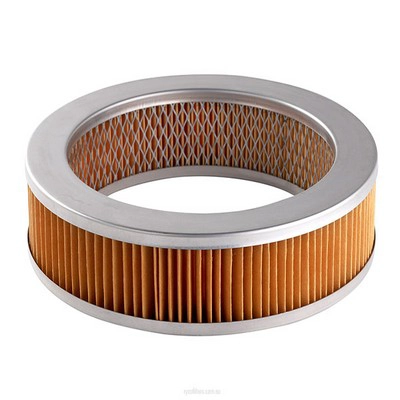 Air Filter (RY-A302)