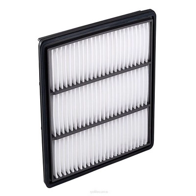 Air Filter (RY-A1319)