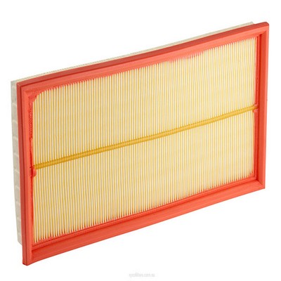 Air Filter (RY-A481)