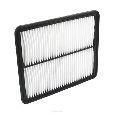 Air Filter (RY-A1794)