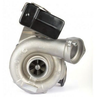 Charger, charging (supercharged/turbocharged) (G758351-5024W)