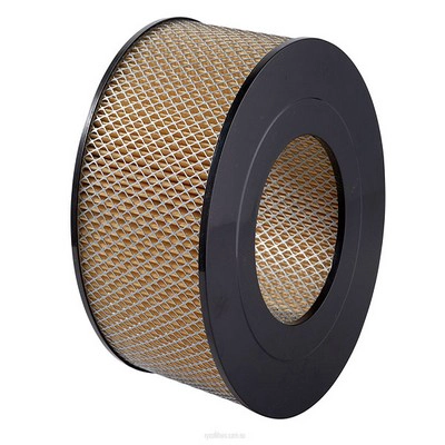 Air Filter (RY-A328)