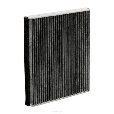 Filter, cabin air (RY-RCA273C)
