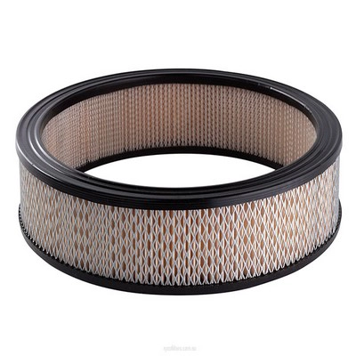 Air Filter (RY-A237)