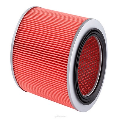 Air Filter (RY-A1555)