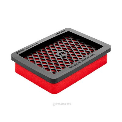 Air Filter (RY-A1522RP)