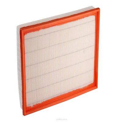Air Filter (RY-A1755)