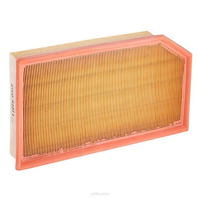 Air Filter (RY-A1611)
