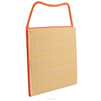 Air Filter (RY-A1787)