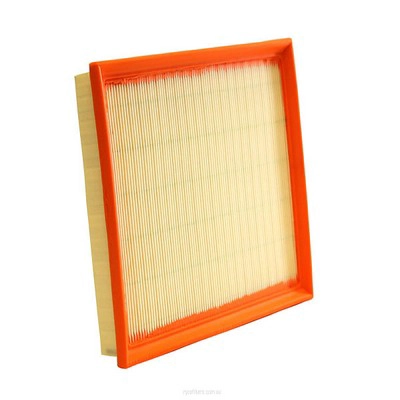 Air Filter (RY-A1850)