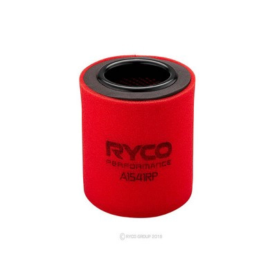 Air Filter (RY-A1541RP)