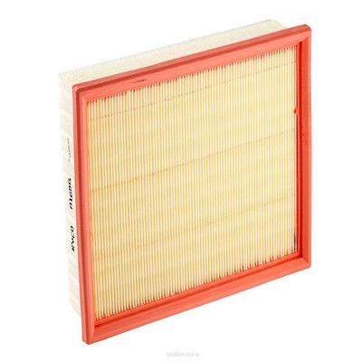 Air Filter (RY-A1686)
