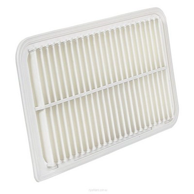Air Filter (RY-A1834)