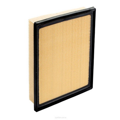 Air Filter (RY-A1838)