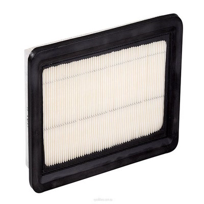 Air Filter (RY-A1317)