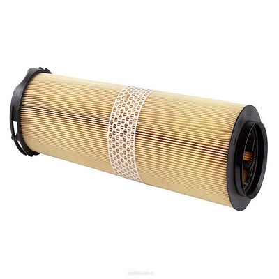 Air Filter (RY-A1679)