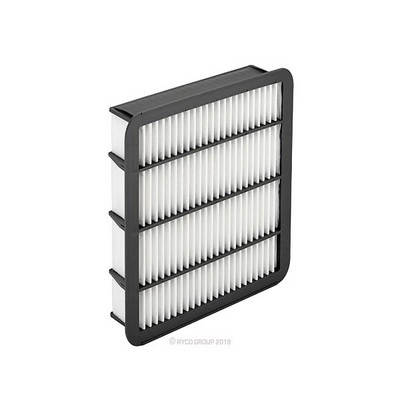 Air Filter (RY-A1945)